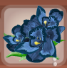 Butterfly Blue Opulent Orchid Corsage.png
