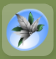 Poinsettia Headband Snow White.png