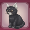 Thundercloud Gray Kitten Plush.png