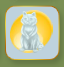 Diamond Blue Raccoon Ice Sculpture.png