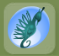 Studded Seahorse Comb Candy Blue.png