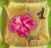 Numbered Hibiscus