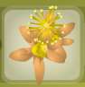 Cantaloupe Orange Citrus Barrette.png