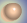 Skin Color