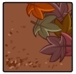Dirt & Leaves
