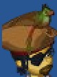 Pirate Hat with Parrot