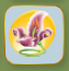 Watermelon Pink Summer Lounger.png