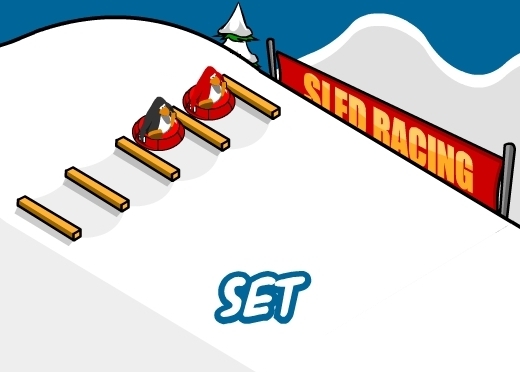 SledRacing-ReadySetGo.jpg