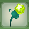 Creek Green Firefly Spotlight Barrette.png