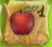 Numbered Apple