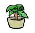 Small House Plant