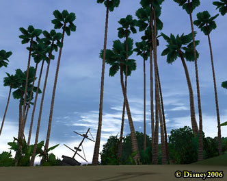 Palms trees found on Driftwood Island