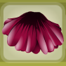 Dianthus Red Cosmos Skirt.png