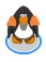 WaterWings(Orange)Action.jpg