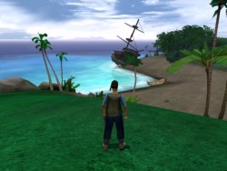 View of Driftwood