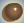 Skin Color