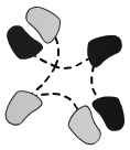 Painted Dance Steps