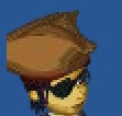 Pirate Hat