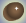 Skin Color