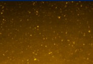 Photo hint
