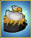 Seagull's Nest Pirate Hat