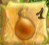 Numbered Onion