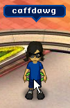Name Display