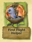 First Flight Helper Badge.png