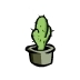 Small Cactus