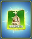 Shrunken Ned