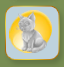 Moonlight Gray Kitten Ice Sculpture.png