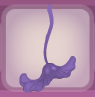 Misty Purple Seedpod Fan.png