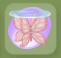 Cherryblossom Pink Flitter Flutter Table.png