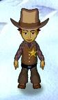 Brown with Vest