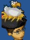 Seagull's Nest Pirate Hat