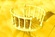 Task 12 Photo Hint