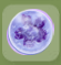 Periwinkle Blue Frozen Periwinkle Flower.png