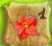 Numbered Poinsettia