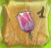 Numbered Tulip