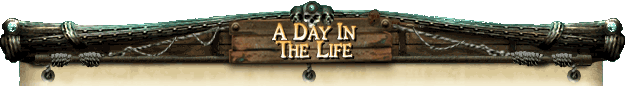 A Day in the Life