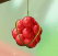 First Flight Item Fruit Red.png