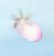 Bonus Cherryblossom Petal