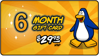 Buy 6 Months!