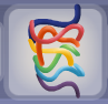 Blueberry Blue Rainbow Ankle Bands.png