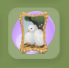 Squash Orange Never Dove Portrait.png