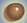 Skin Color