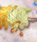 Dandelion Fluff Bunch.png
