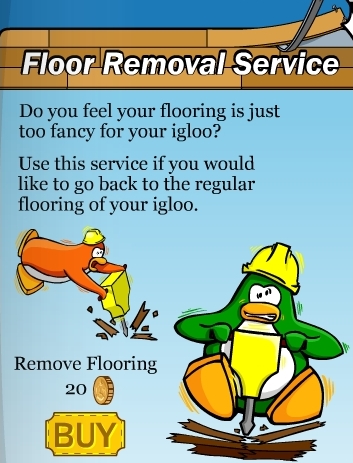 Igloo-FloorRemovalService.jpg