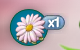 Daisy Petal Bunch Collected.png
