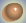 Skin Color